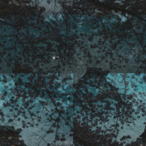 Entered