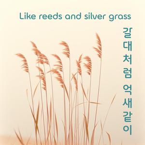 갈대처럼 억새같이(like reeds and silver grass)