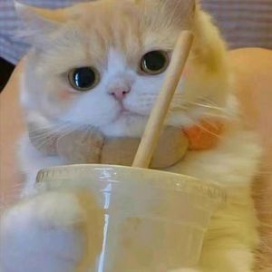 我的世界忽然冰天白雪