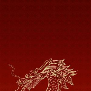 蜂巢失序的宪法