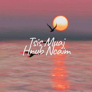 Tsis Muaj Hnub Ncaim