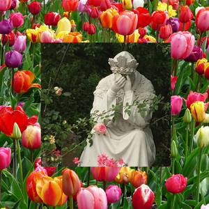 Why You Not Here With Me?