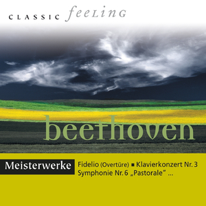 Sinfonie No. 9 in D Minor, Op. 125: IV. Presto in D Minor