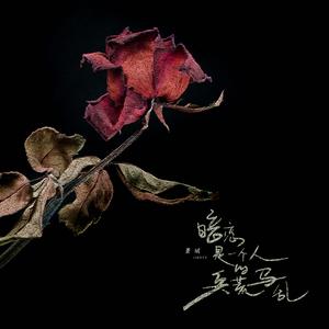 暗恋是一个人的兵荒马乱