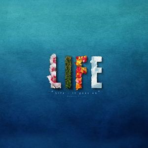 文雀 - 南方日记