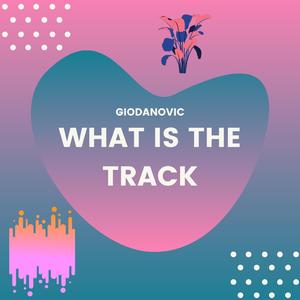 What Is the Track ?
