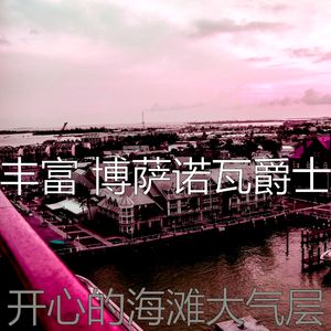 温和海滩梦想