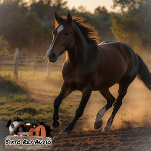 Oswaldo Morales - Mi Tristeza en el Cumare