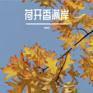 疏影横窗浅