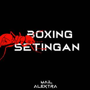 BOXING SETINGAN