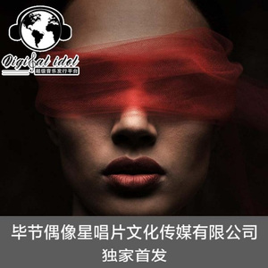 炸街声浪 (DJ版)