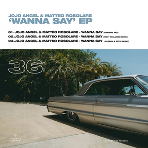 Wanna Say (Cleary, Ste E Remix)