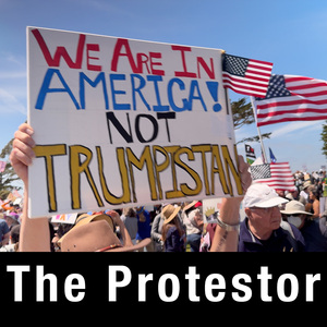 The Protestor