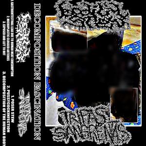 MICROPLASTIC CLOGGED ARTERIES