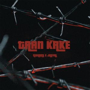 TAAN KRKE