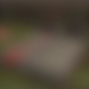 Heaven/Hell with Lil Tracy