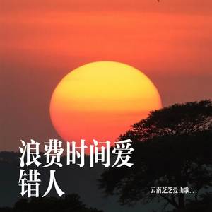 浪费时间爱错人