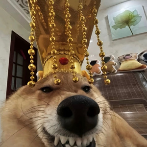 Haha hihi huhu heheh