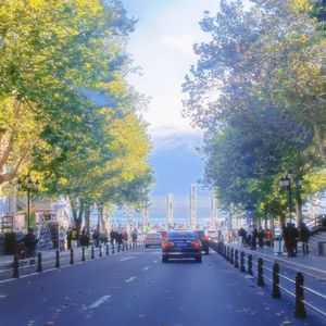 八月迷情 Prod.Gr33nart beats