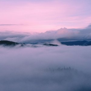 Quiet Rain Drift
