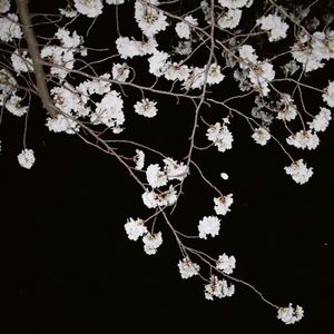 让爱在回忆里完整