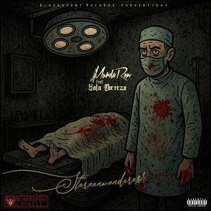 Sternenwanderer (feat. Vata Thereza)