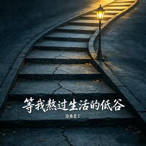 等我熬过生活的低谷