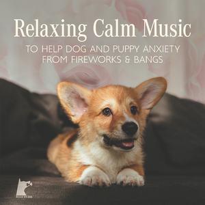 Relaxing Calm Music to Hlep Dog ang Puppy Anxiety from Fireworks & Bangs