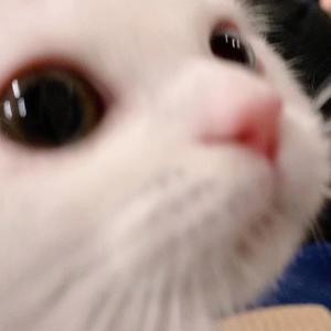 IMG_2022-03-26_17:55:19_0