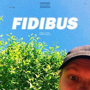 Fidibus