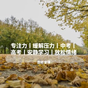 降压幽静高雅纯音乐