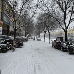 我寄人间雪一封