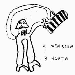 Menisken