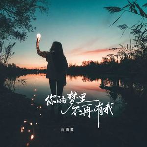 你的梦里不再有我