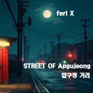 STREET OF Apgujeong