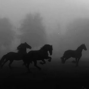 Fakelove7-遗憾 vol.1（扣6送地狱火 remix）