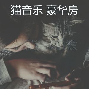 一尘不染睡猫印象数