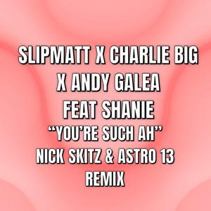 You're Such Ah (feat. Shanie) [Nick Skitz & Astro 13 Remix]