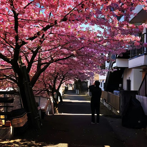 夏夜最后的烟火