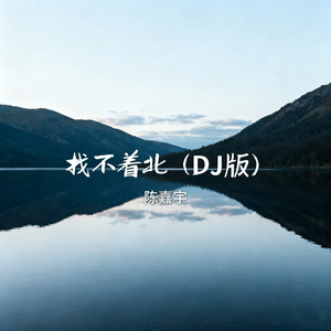 找不着北（DJ版）