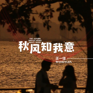 秋风知我意 (DJ阿卓版)