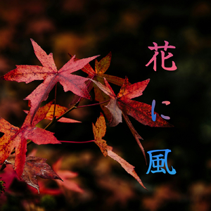 花に風