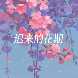 迟来的花期