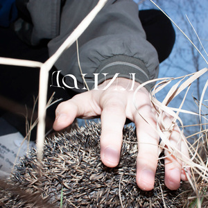 Голосование