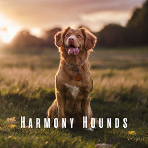 Binaural Bark Bedtime