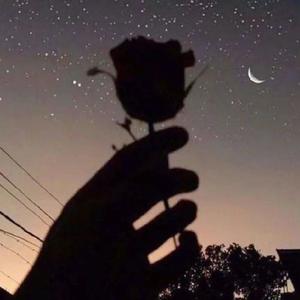 越南摇我先跳（Money摇）