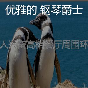 柔和的坠入爱河时刻