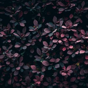 我的遗憾与你有关