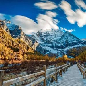 我只期待明年与你一起共度