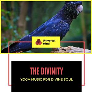 Placidity (New Age Spa Relaxation)